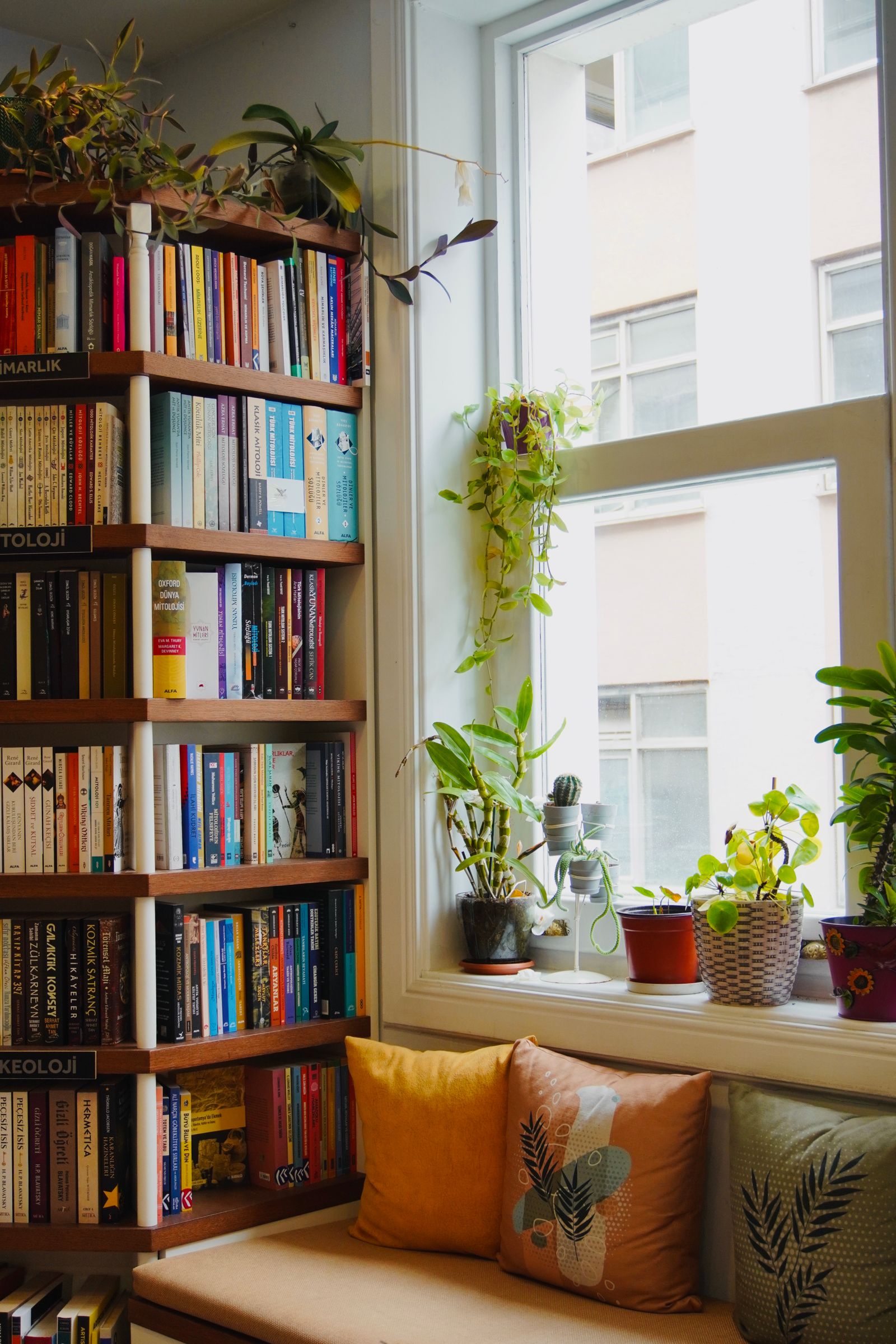 観葉植物のある読書スペース